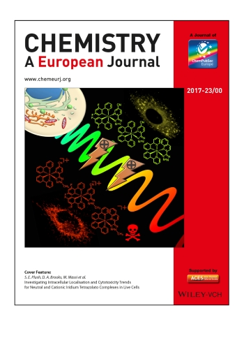 Caporale_et_al-2017-Chemistry_-_A_European_Journal